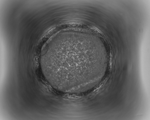 X0000085070774200703191301