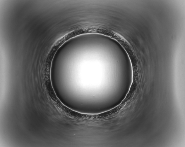 X0000085070775200703191301