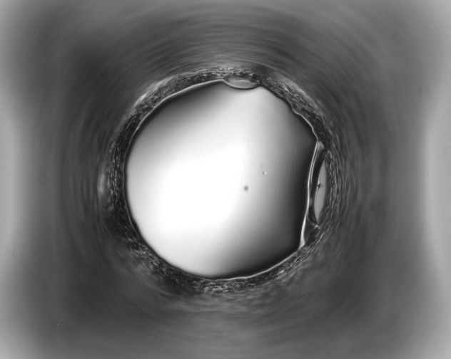 X0000085070776200703191301