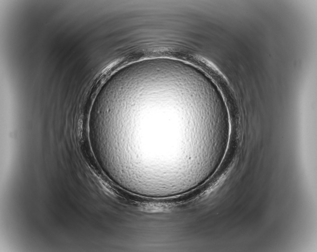 X0000085070777200703191301