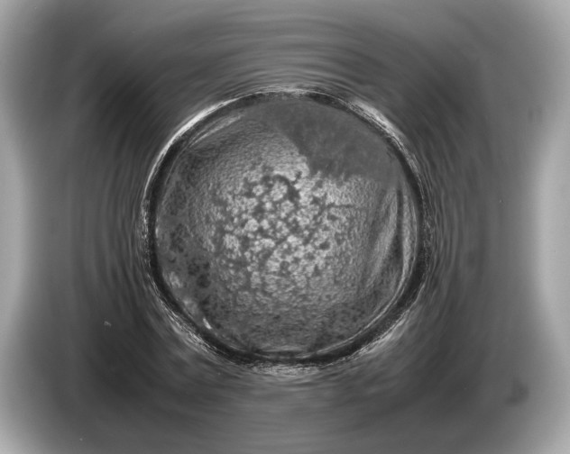 X0000085070779200703191300