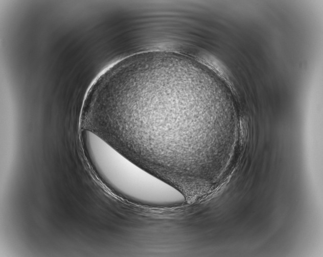 X0000085070780200703191300