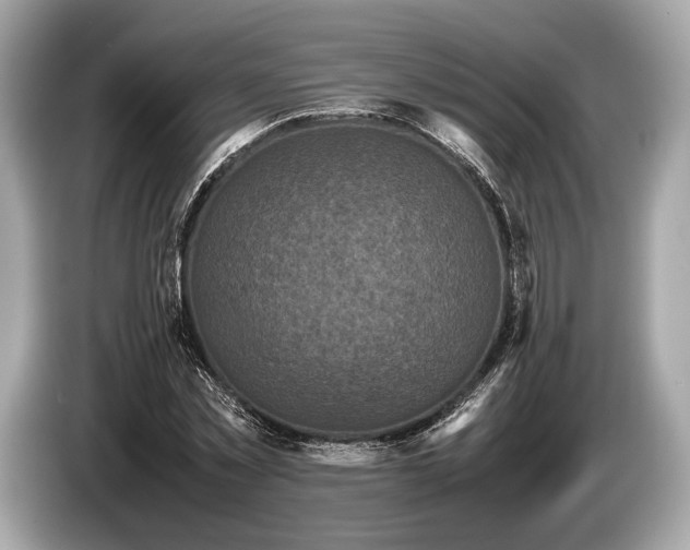 X0000085070781200703191300