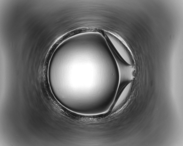 X0000085070783200703191300