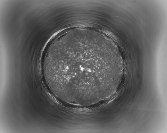 X0000085070784200703191300