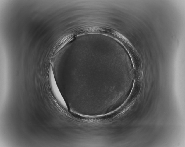 X0000085070785200703191300