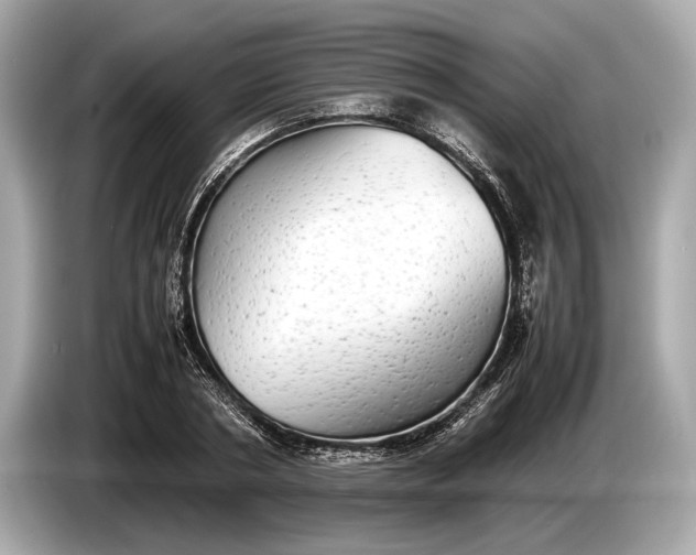 X0000085070786200703191300