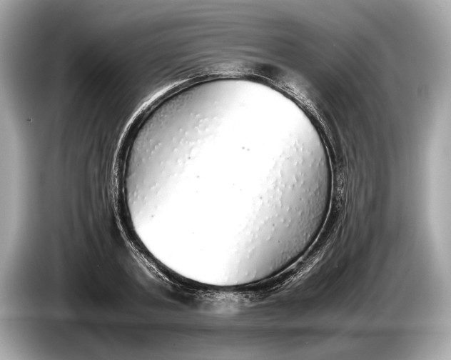 X0000085070787200703191300