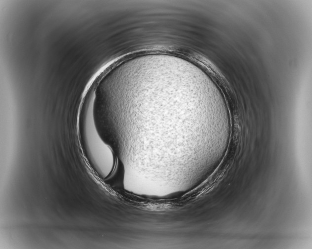 X0000085070788200703191300