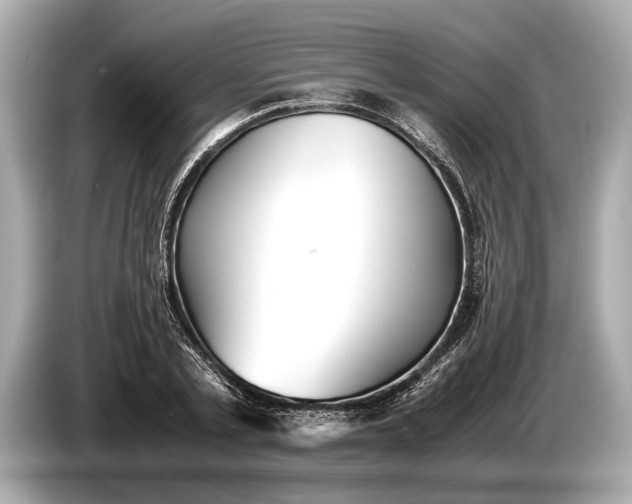 X0000085070789200703191300