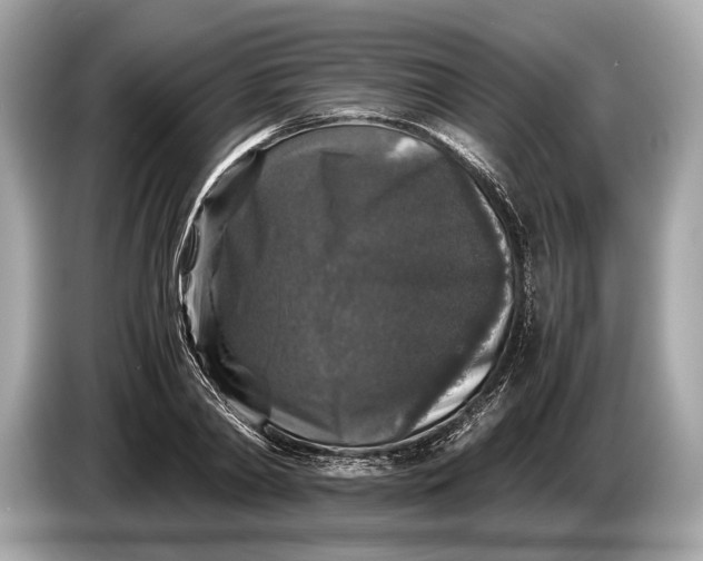 X0000085070790200703191300