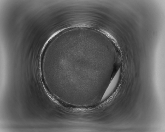 X0000085070792200703191300