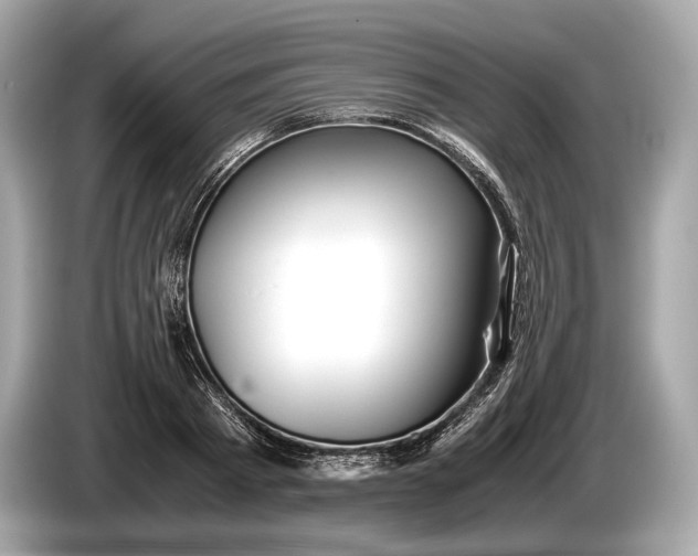 X0000085070793200703191300