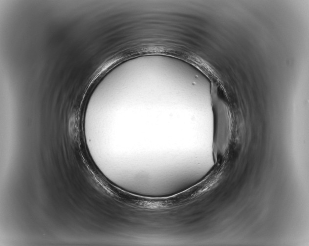 X0000085070794200703191300