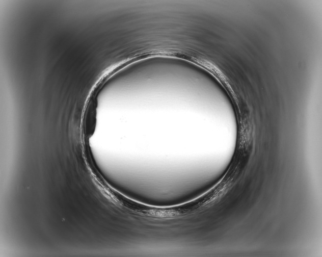 X0000085070795200703191300