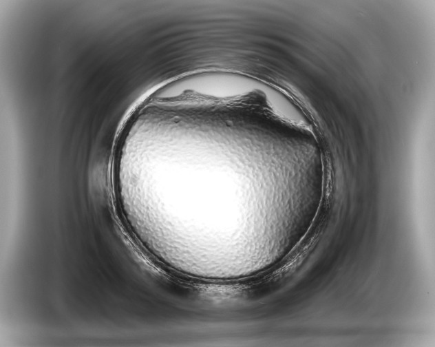 X0000085070796200703191300