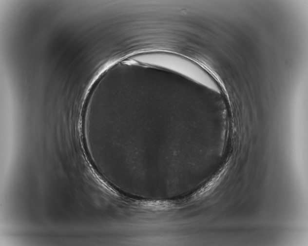 X0000085070797200703191300