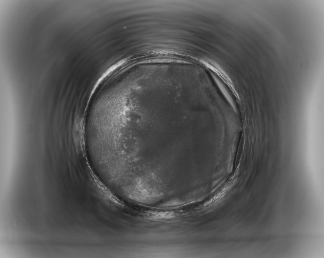 X0000085070798200703191300