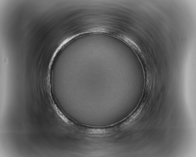 X0000085070800200703191300