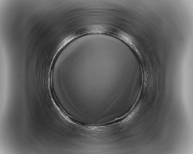 X0000085070802200703191300