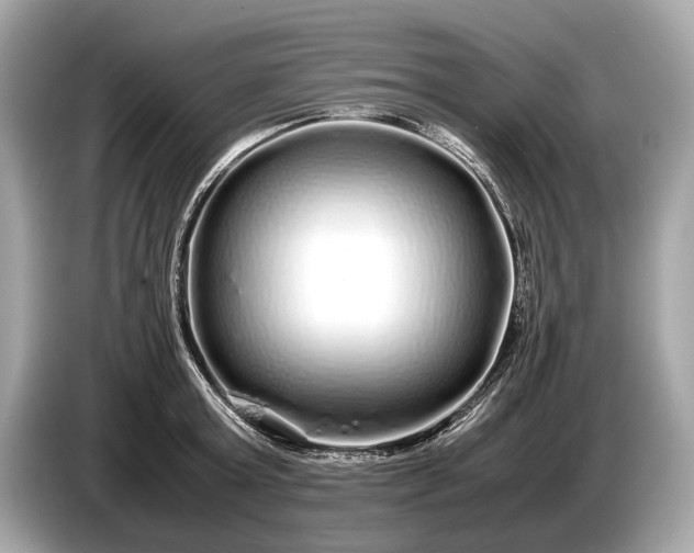 X0000085070803200703191300