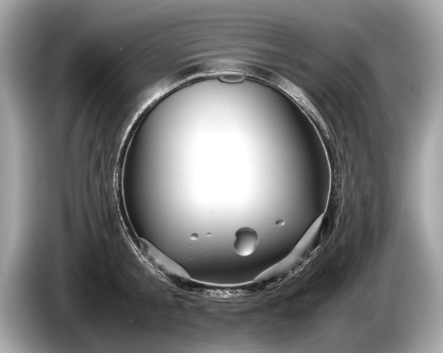 X0000085070805200703191300