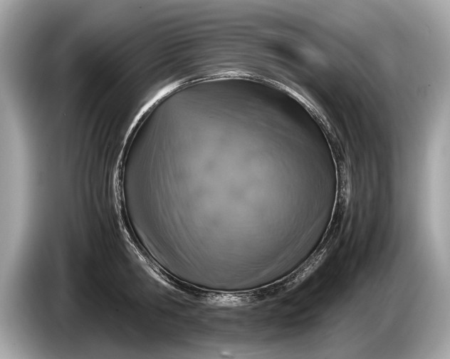 X0000085070806200703191300