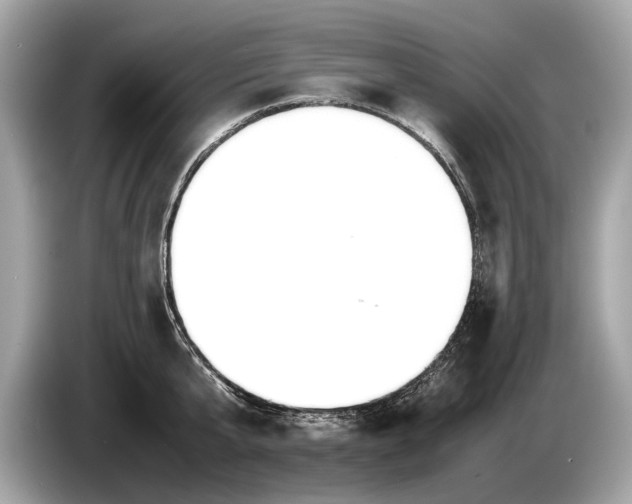 X0000085070807200703191300