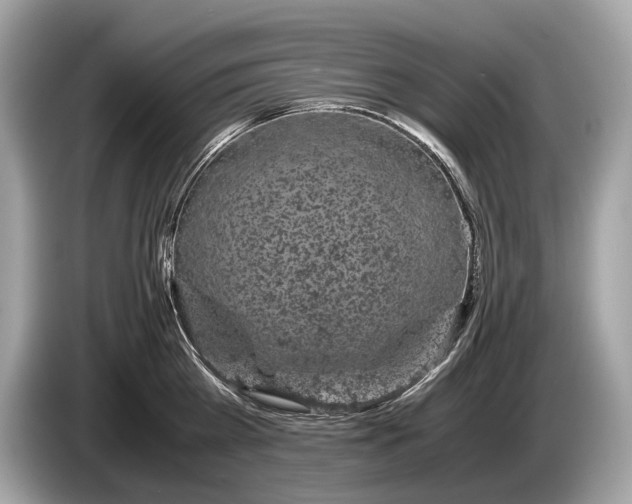 X0000085070809200703191300