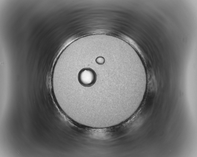 X0000085070810200703191300