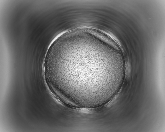 X0000085070814200703191300