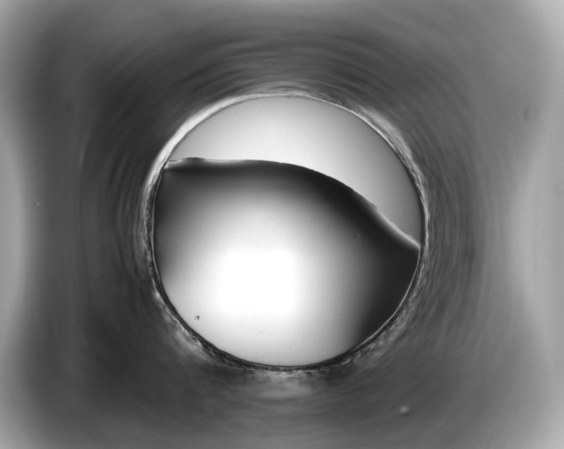 X0000085070816200703191300