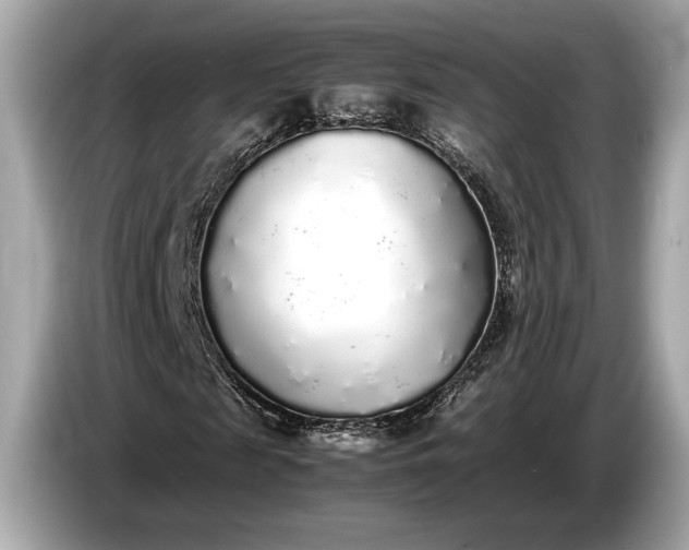 X0000085070817200703191259