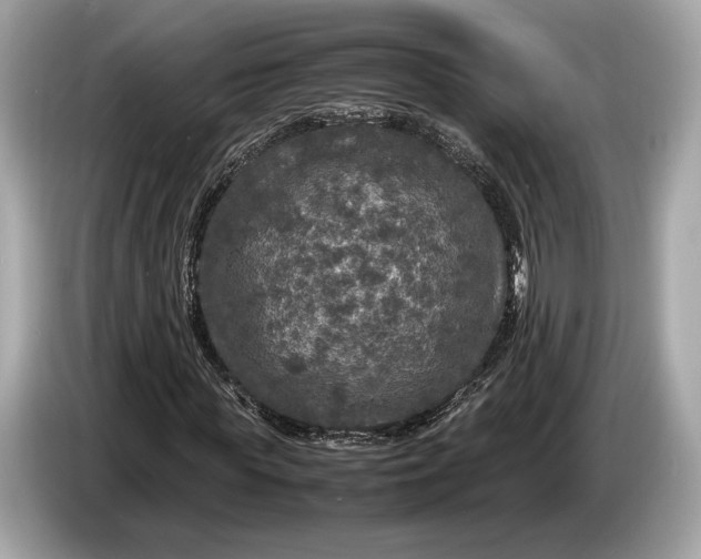 X0000085070819200703191259