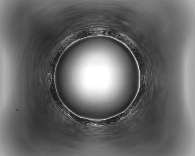 X0000085070821200703191259