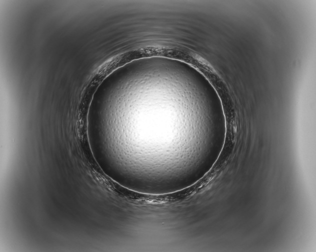 X0000085070822200703191259