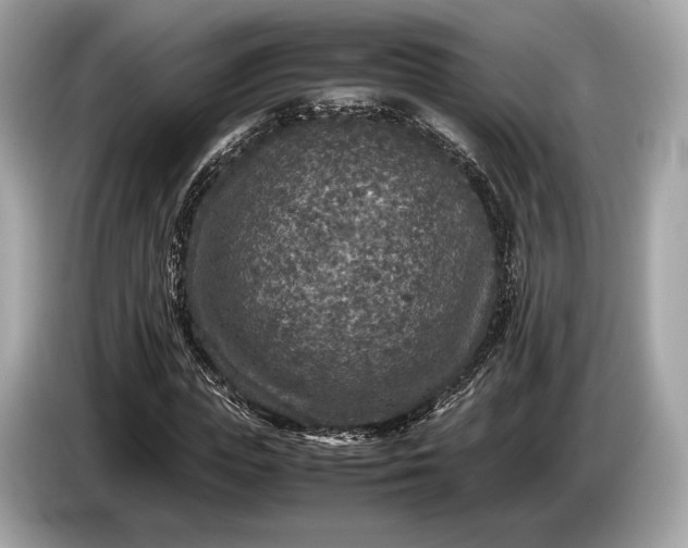 X0000085070823200703191259