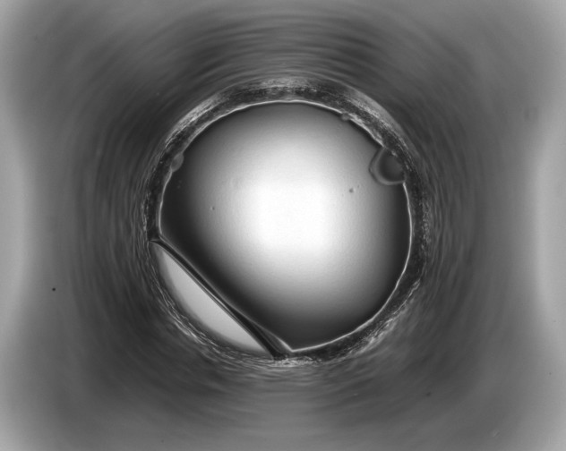 X0000085070826200703191259