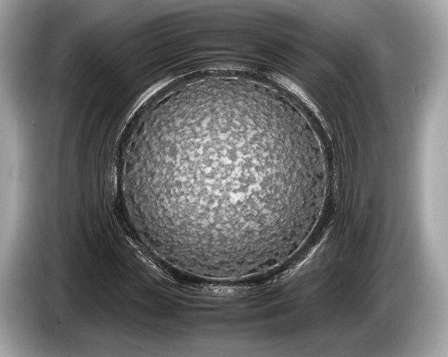 X0000085070829200703191259