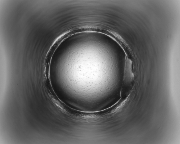 X0000085070830200703191259