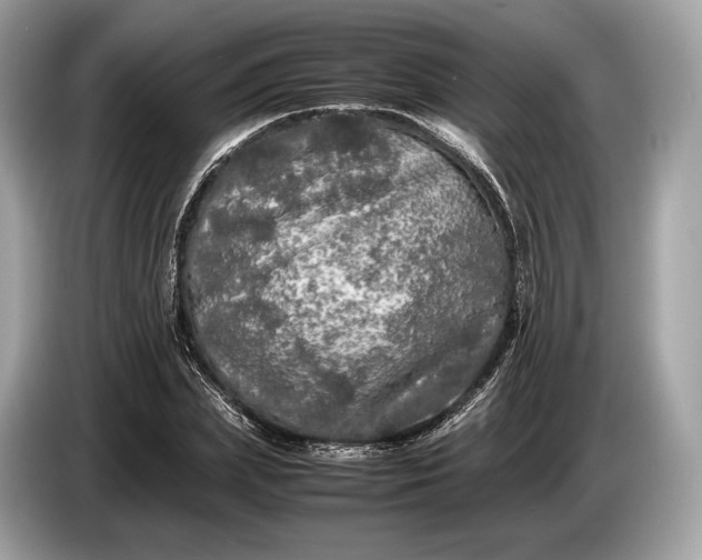 X0000085070831200703191259