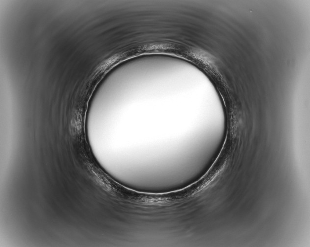 X0000085070833200703191259