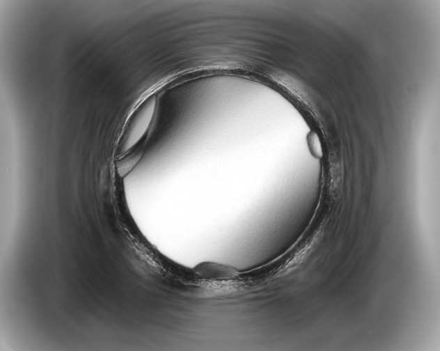 X0000085070834200703191300