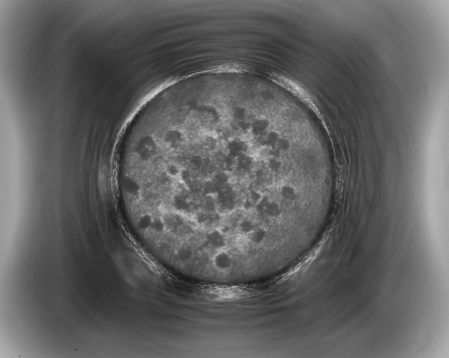 X0000085070835200703191300