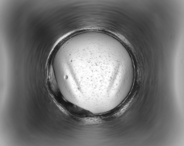 X0000085070838200703191300