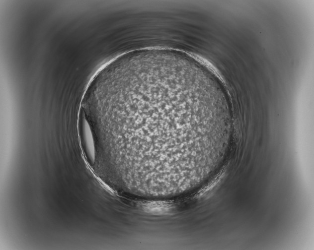 X0000085070839200703191300