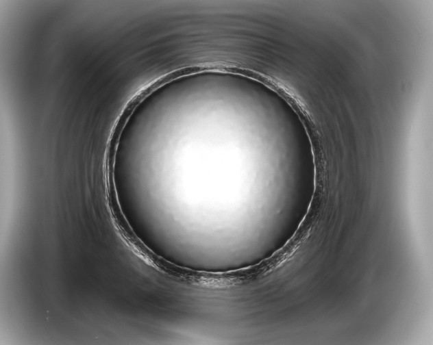 X0000085070840200703191300