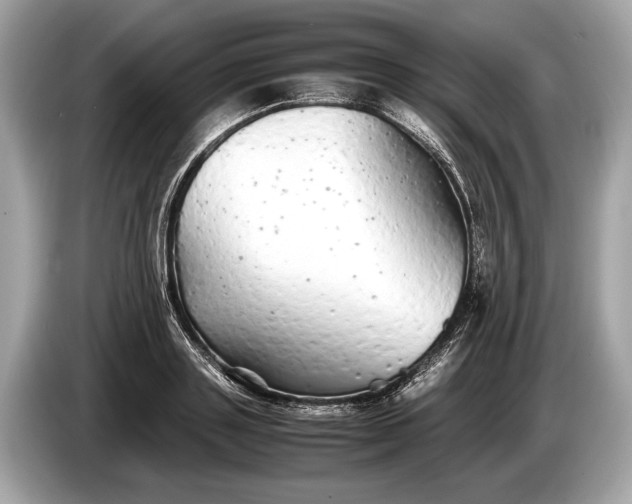 X0000085070843200703191300