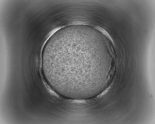 X0000085070844200703191300