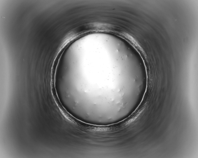 X0000085070845200703191300